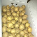 매일농장 이미지