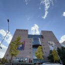 이마트 죽전점 몰리스 | [쓱데이 몰리스] 고양이 사료 밥이보약 1+1 구매 후기