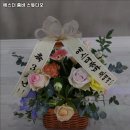 에스더줌바스튜디오 이미지