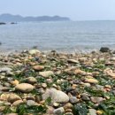 카페언니 이미지