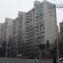 1004청과 이미지