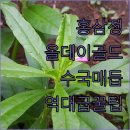 정성을 더하는 보자기 매듭법 | 풍년보감 고려홍삼정 올데이굿타임 골드 특징 분석 및 정성을 더하는 수국 매듭법 후기