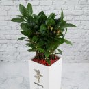 울타리당구클럽 이미지