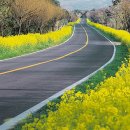 애플부동산중개 이미지