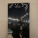 윌리독(wheeliedog) 이미지