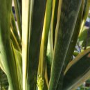 산수민박 이미지