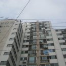 하대동297 이미지