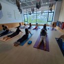 요가라이프 이미지