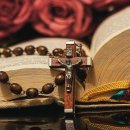 화도진로24번길 이미지