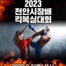 아우내실내체육관 이미지