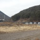 완월동168 이미지