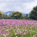 삼문동둔치주차장 이미지