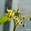 소로3-용운101 | 이유 없이 끌리는 3가지 [감사Day101]