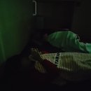 스텔라 | 제주여행 쾌적한 차량선적 골드스텔라 예약 왕복 후기