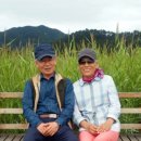 경원농장 이미지