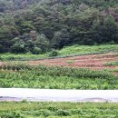 장성마을농장 이미지