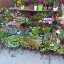 문산자유시장 이미지