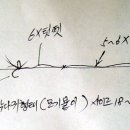일반양어장 티스토리