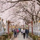 의령 보천사지 삼층석탑 | 경남 의령 수암사 333구의 관음상과 벚꽃터널, 수암사 방문후기