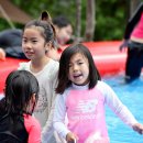 강원도힐링캠핑장 이미지