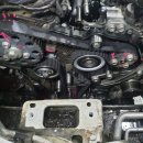 오거리카 이미지