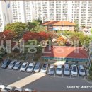 모전약국 네이버블로그