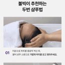 리페어링 이미지
