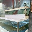 동해 | 중화동점심맛집 동해통문어칼국수 솔직후기