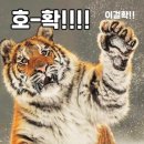 11215-자양3-047 | [일본/삿포로] 3박 4일 자유여행 (2) 삼각 시장 카이센동, 오타루 당일 치기, 잇핀 부타동, 삿포로 쇼핑...