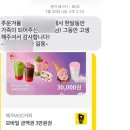 행정용 9 | 2026 대학생 행정체험연수 | 강남구청 행정체험알바 관공서 알바 후기