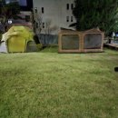 아하키즈어린이집 이미지