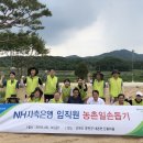 내촌초등학교 이미지