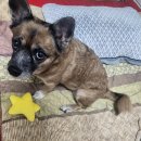 유동물의료센터 이미지