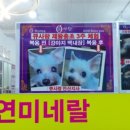 큐사랑구미형곡