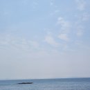 영락리 | 제주 영락리 방파제 돌고래 스팟 운 좋으면 공짜로 보는 야생 돌고래 명당 후기