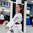 늘봄태권도 이미지