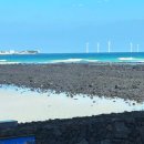 둘레길유랑 | 제주 협재 맛집 둘레길 협재금능점 외국인도 반한 오션뷰 레스토랑