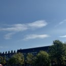 씨유서울대공원호랑이점 | [2024 9월 블챌]서울대공원 동물원 오픈런 나들이 후기(리프트,입장권,소소한 팁)