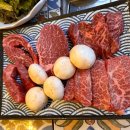 토종한우암소