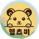 골든햄스터분양 햄츠비 이미지