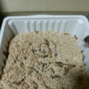 희용농장 | 슈밀 주문했습니다...(밀웜아저씨 후기)