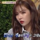 동물농장 MBN