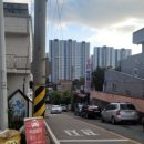 뒷동산농원 이미지