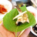 동백장어 이미지