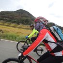 가창체육공원 이미지