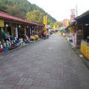 무릉공원 주차장 이미지