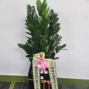 My 당구장 이미지