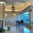 금관대로 애견센터 | [김해 장유] 세븐 김해애견카페 _ 내돈내산 후기