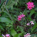 원종2동 주민센터 이미지