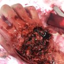 영암금정중학교 이미지